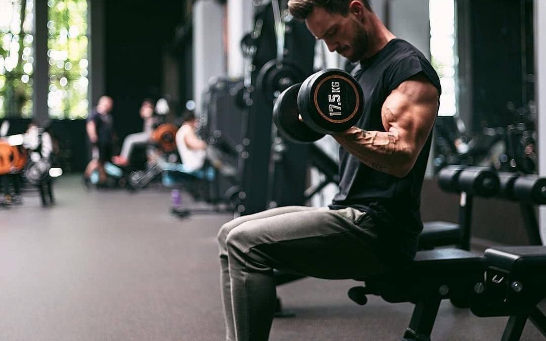 Beginner’s Guide to Linear Progression Push-Pull-Legs Workout: Build Strength & Muscle